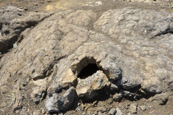 Coulé de lave